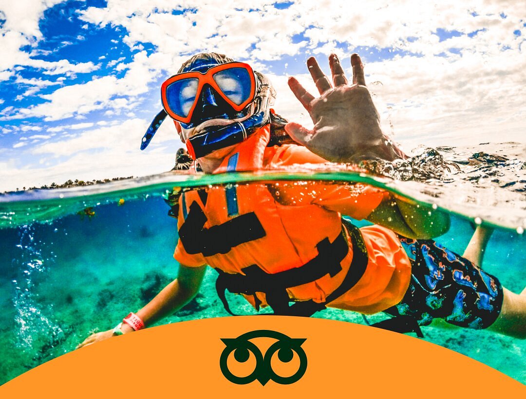 tripadvisor.com
