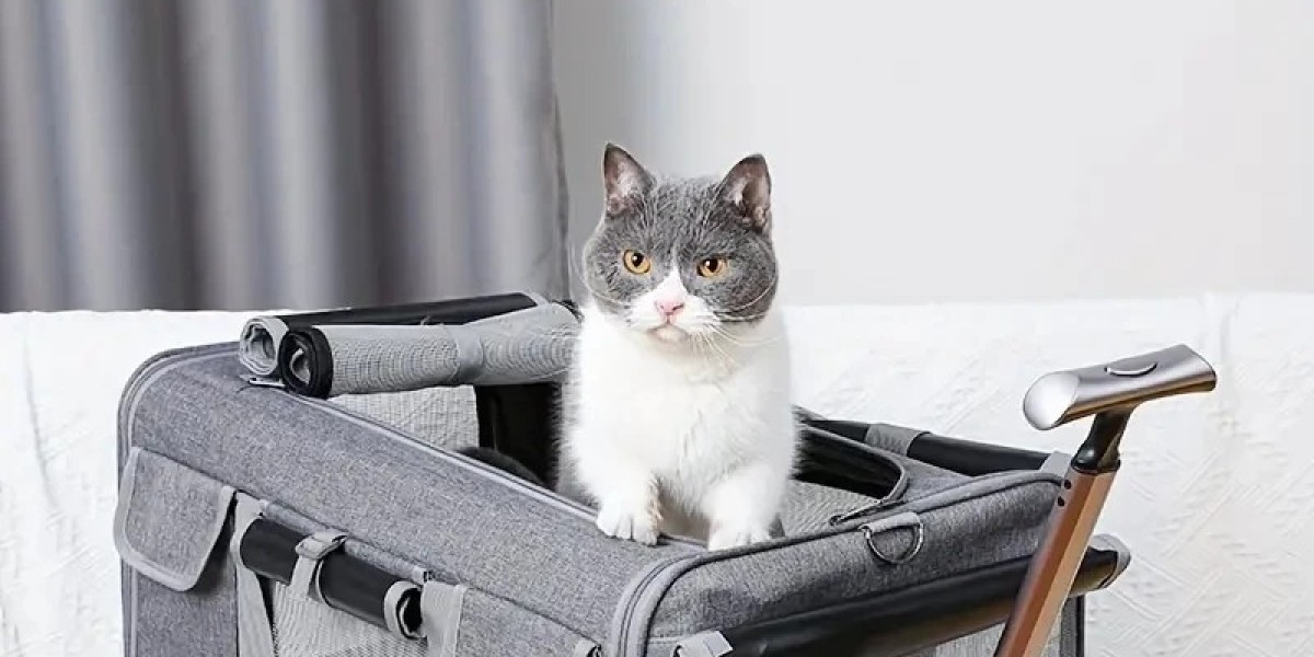 Pet's place